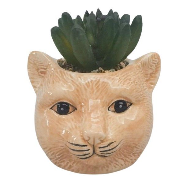 Urban Products Mini Cat Planter Pot with Plant Ginger 10cm