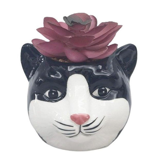 Ceramic cat-shaped planter with a pink succulent on a white background