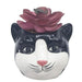 Ceramic cat-shaped planter with a pink succulent on a white background