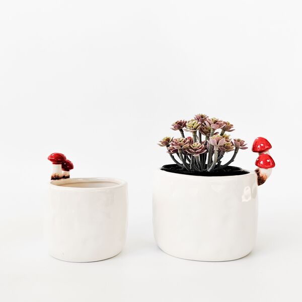 plant pots with mushrooms toadstools growing out of top rim