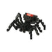 red back spider blocks to build