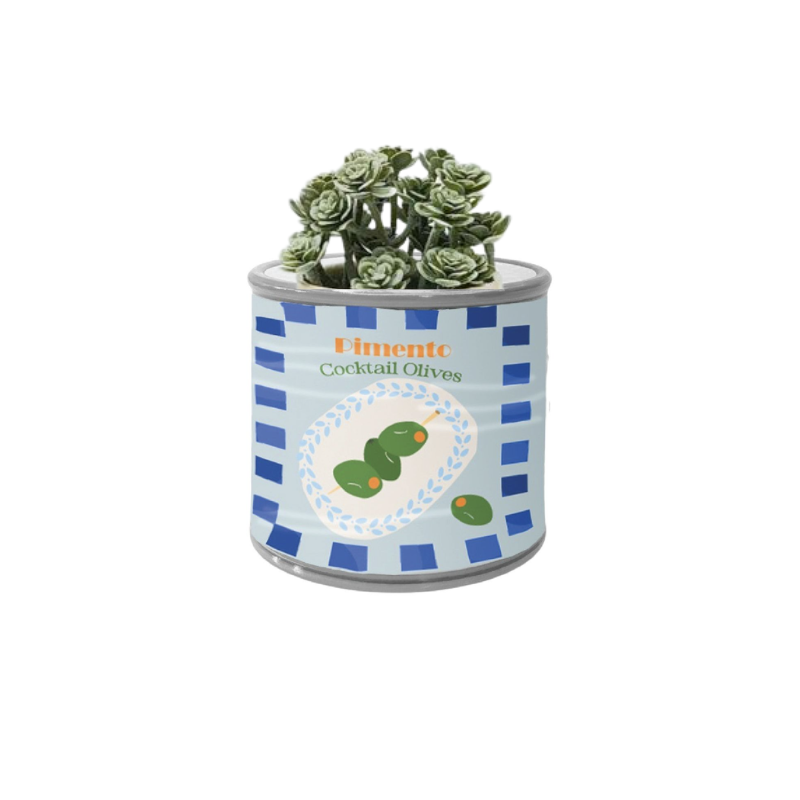 Pots and Planters