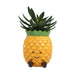 pineapple planter