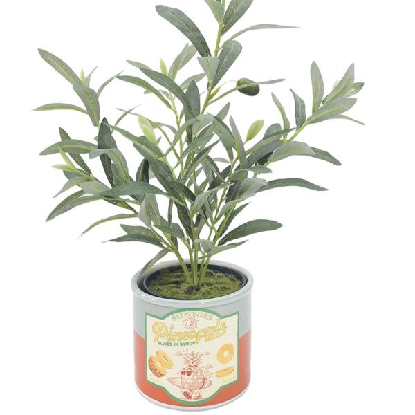 pineapple can planter