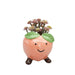 peach vessel planter