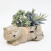 cat plant pot for home