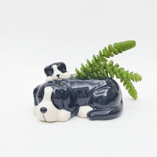 hugging plant pots Urban Products Hugging Dogs Planter Pot White & Black 8cm — Spoilt Gift & Homewares