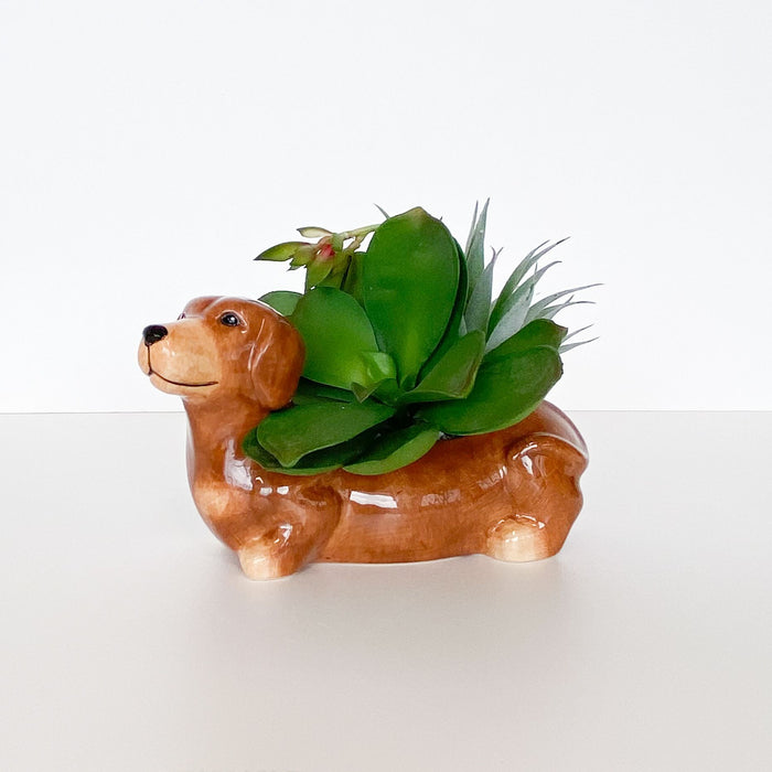 brown dachshund sausage dog planter pot indoors