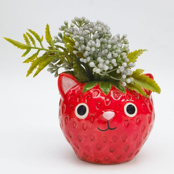 cat strawberry pot plant cute