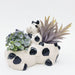 hugging cows planter pot