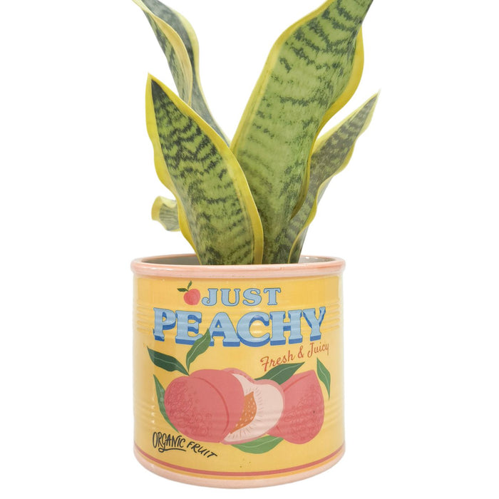 peaches can planter
