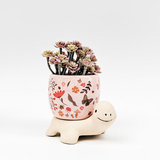 turtle planter with garden print