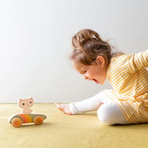 toy for toddlers on sale cat
