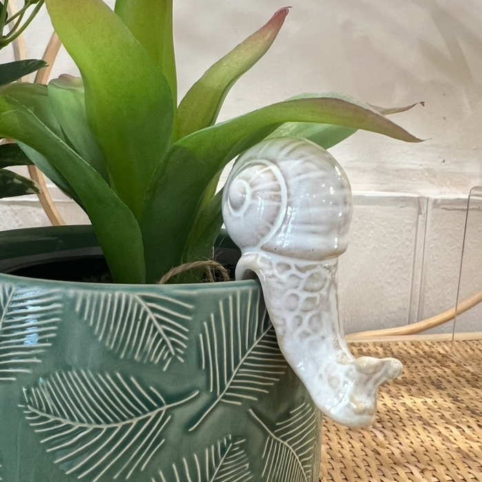 Snail Pot Hanger White 7cm