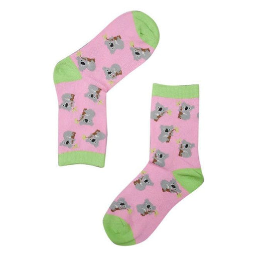 koala socks for school aged kids australian souvenir gift