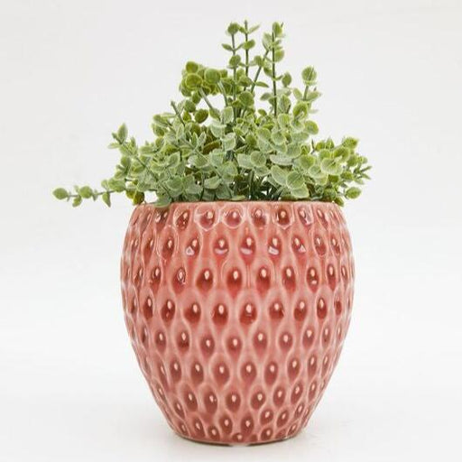 strawberry planter pot