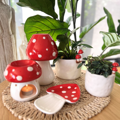 Mushroom Homewares