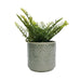 sage green plant pot with turnip designs