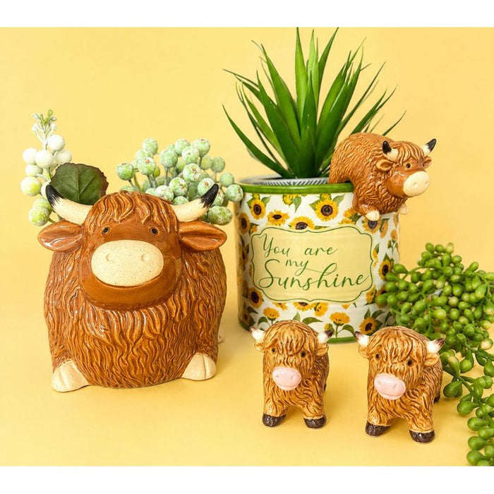 Highland Cow Salt & Pepper Shakers 7cm