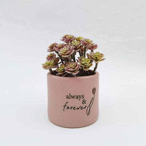 always and forever pot gift