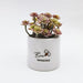 bee awesome pot keepsake gift