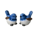 blue wren gift ideas