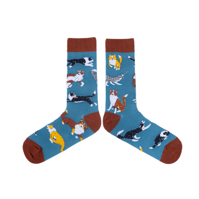 Ya Herd? Border Collie Socks Mens