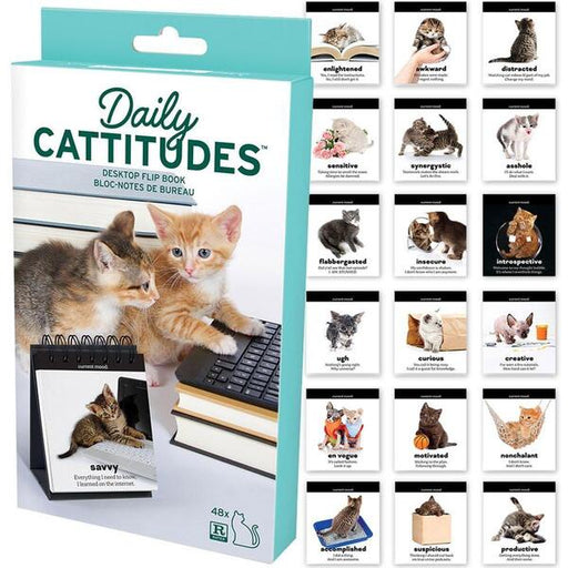 daily catitudes desktop flip book