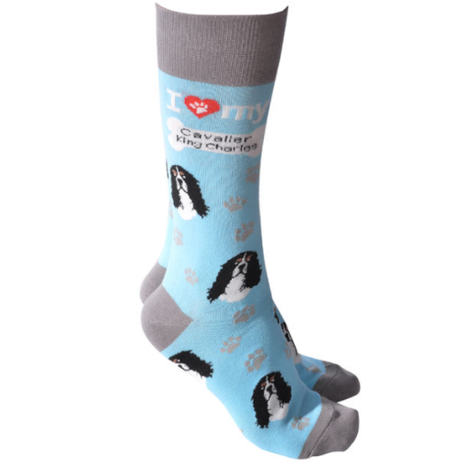 King Charles Cavalier Socks