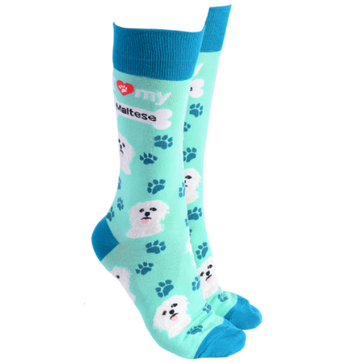 Maltese Terrier Socks Aqua