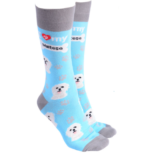 Maltese Terrier Socks Blue