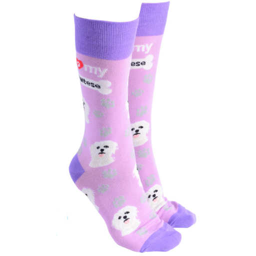 Maltese Terrier Socks Purple