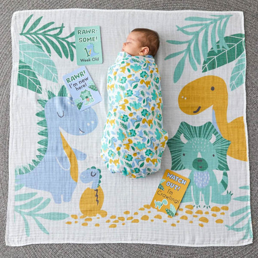 set of milestone cards and wrap for babies dinosaurs