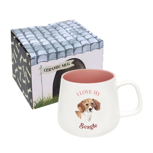 beagle dog owner present