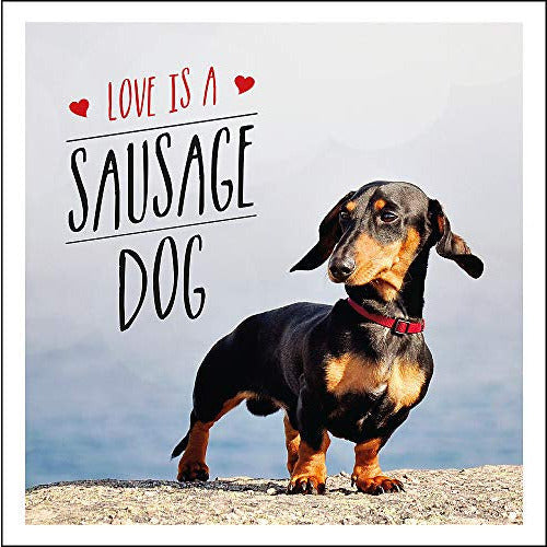 love is a sausage dog quote book