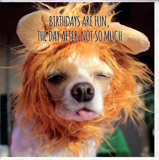 funny birthday card dog