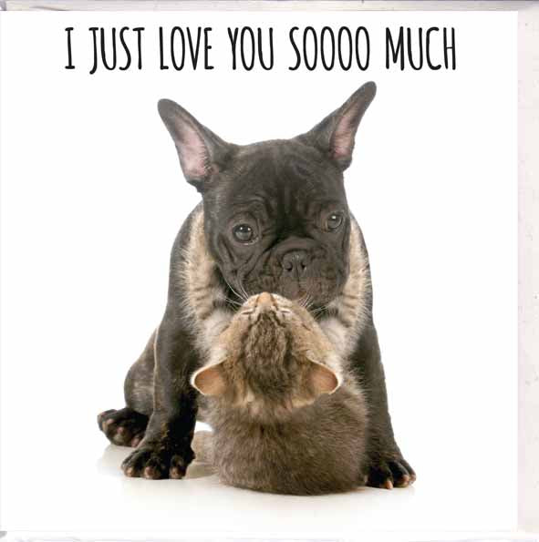 I love you card cat and dog