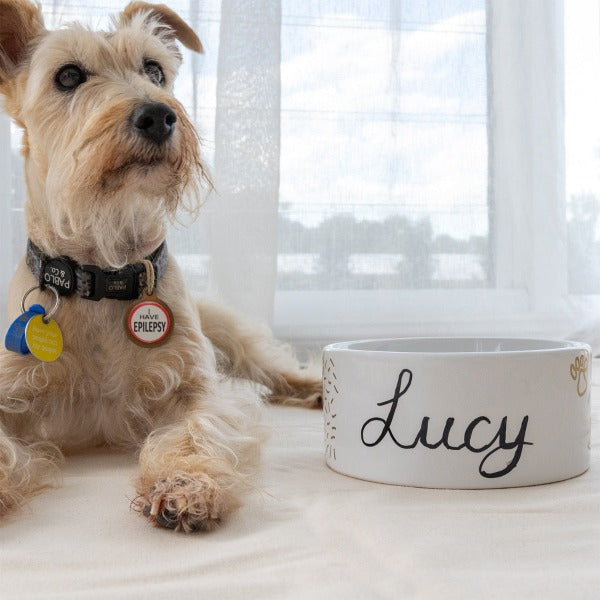 DIY decorate your own pet bowl