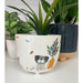 quirky dog planter