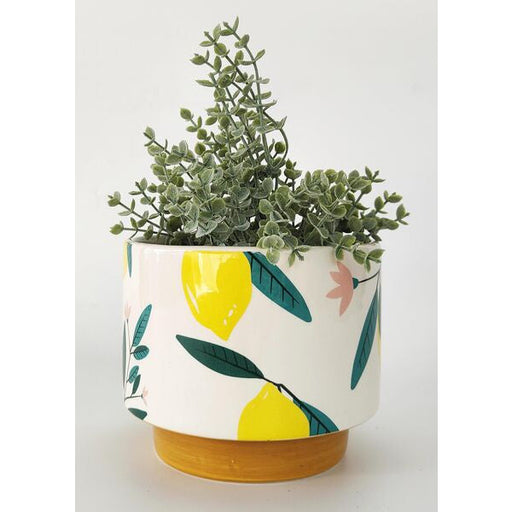 evergreen planter pot with lemon print