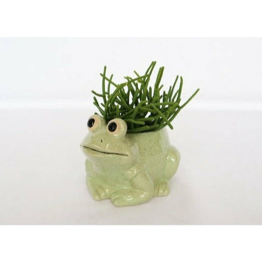 frog light green planter small