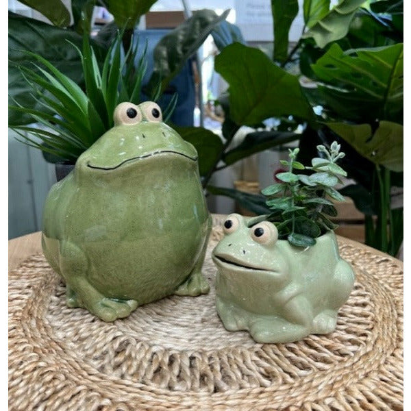 Urban Products Frog Light Green Planter Pot Small 9cm