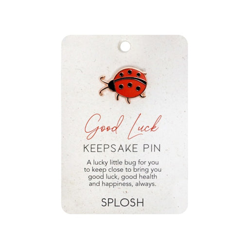 good luck lady bug pin