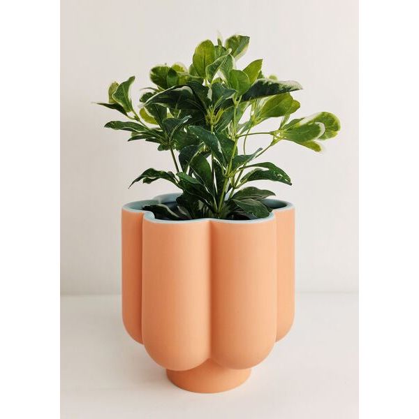 pink pot with blue inside planter
