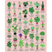 house of plants jigsaw with descriptions