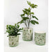 may gibbs green plant pot by urban products