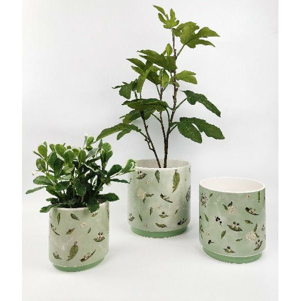 may gibbs plant pots by urban products