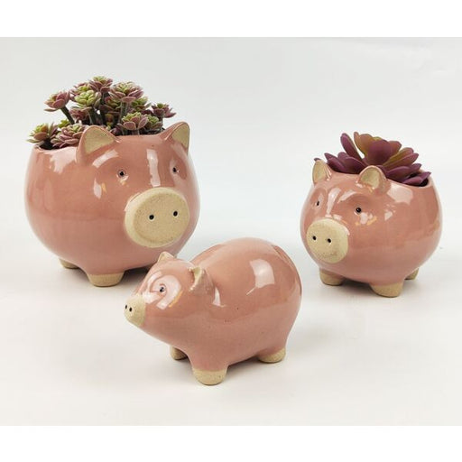 pig plant pots 