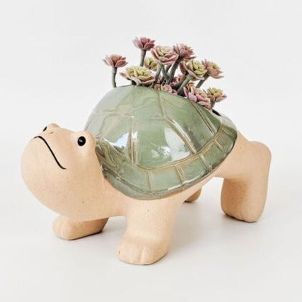 turtle planter pot