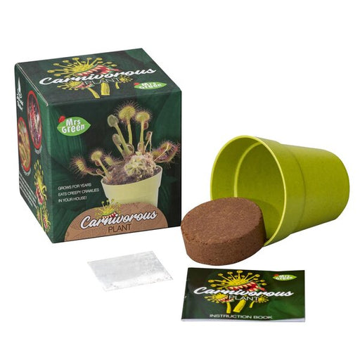 grow a plant kit